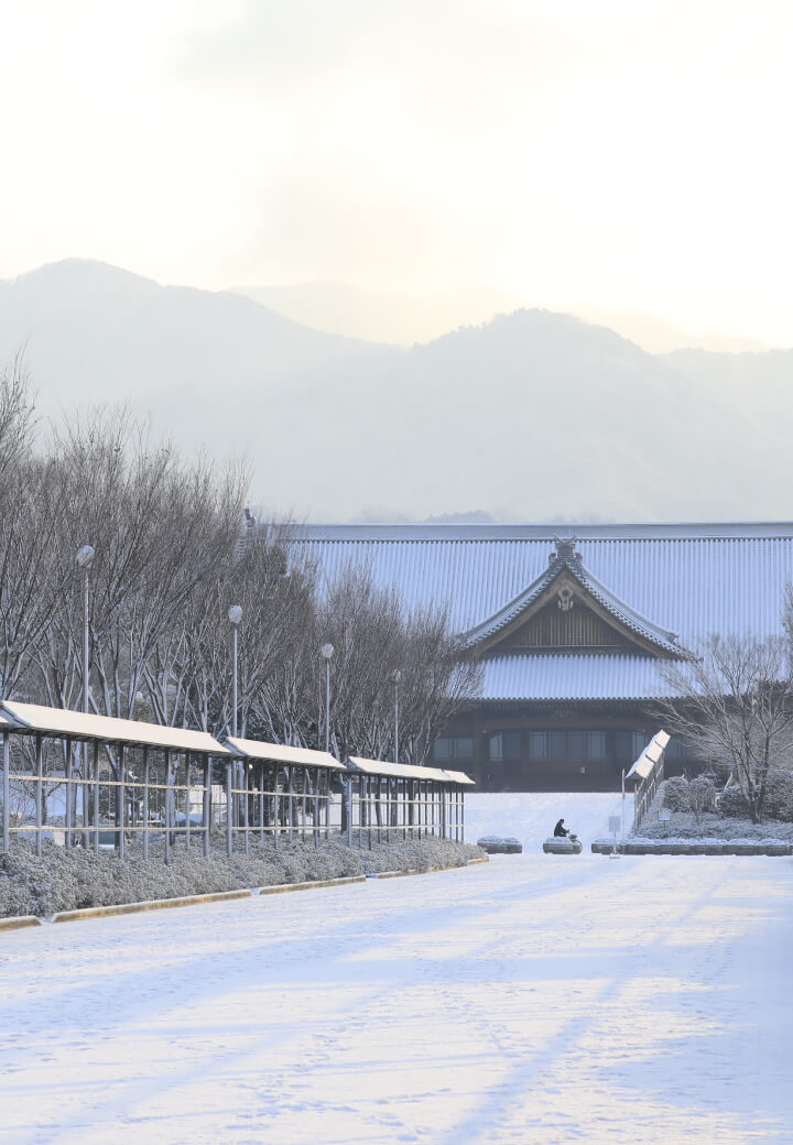 神殿西側・西参道<br>冬枯れの木立と雪景