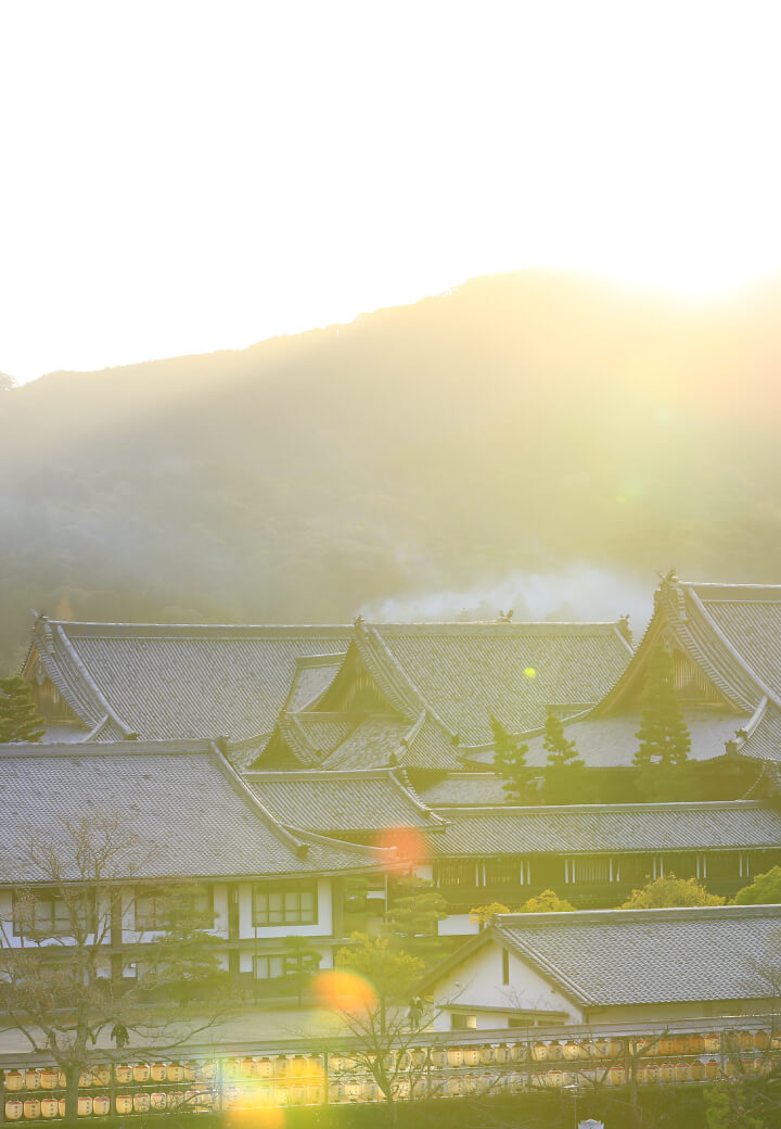 神殿西側から撮影<br>朝日に輝く<ruby><rb>甍</rb><rp></rp><rt>いらか</rt><rp></rp></ruby>