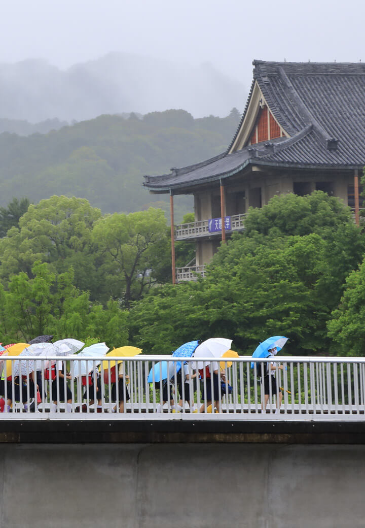 神殿南側・陸橋<br>梅雨空に咲く傘の花