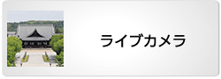 ライブカメラ