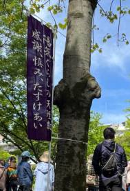 神奈川神港支部ひのきしん４