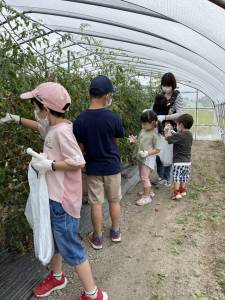 空知支部野菜収穫体験２