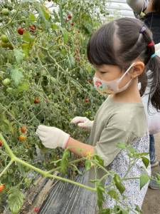 空知支部野菜収穫体験３