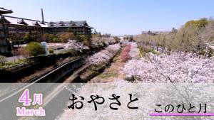 おやさと　このひと月