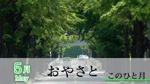 おやさと　このひと月