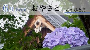 おやさと　このひと月