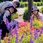 富士山支部188ひの２