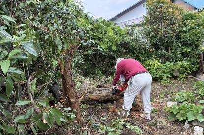茨城新治189倒木1