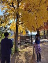 岡山西188秋ひの2