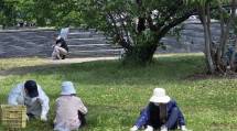 ひの188和歌山那賀２