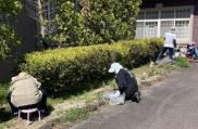 ひの188福島福島２