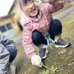 ひの188福島耶麻４