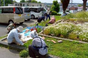 ひの189静岡中遠２組２