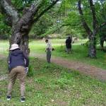 ひの189山梨北巨摩６