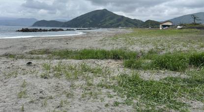 ひの189福井嶺南5