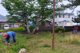 ひの189山口大島3