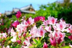 20150424OIK01