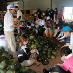 天理大生が熊本地震被災地で奉仕活動・7月3日・2"