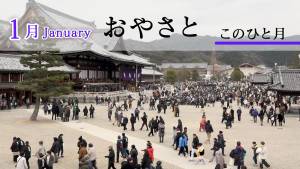 おやさと　このひと月