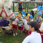 IMG_7946-1-scaled
