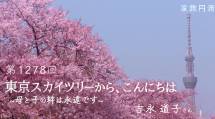 家族円満　1278回　東京スカイツリーから、こんにちは