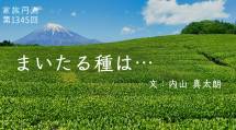 家族円満　1345回　まいたる種は…