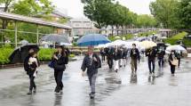 降りしきる雨のなか、傘を手に本部神殿へ向かう参拝者たち(6月26日)
