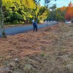 line_oa_chat_251204_140659