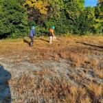 line_oa_chat_251204_140706