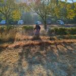 line_oa_chat_251204_140708