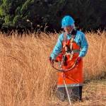 line_oa_chat_251204_140719