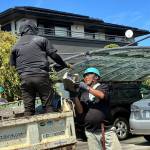 line_oa_chat_260824_113053